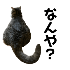 miyuu_20200805134624