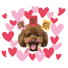 貝利台灣國語小教室