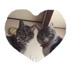 Natsumi_20200805151249