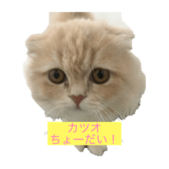 hiroki_20200805144722