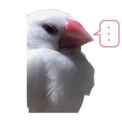 SUMIRE_20200805164055