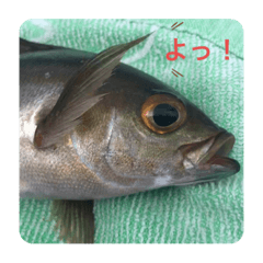 SUMIRE_20200805164216