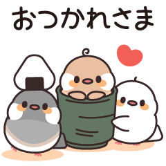 Close Java sparrows