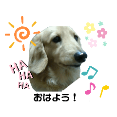 sayuri_20200805205943