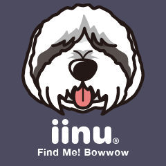 iinu - Polish lowland Sheepdog
