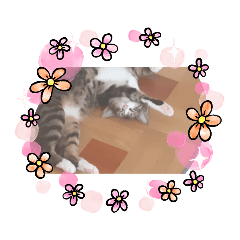 hana_20200805223846