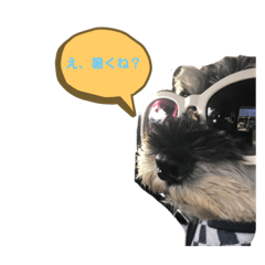 Omochi_20200805181354