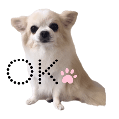 Pet dog Ru-chan's stamp