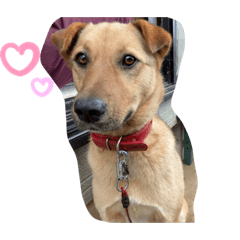 Mizuki_20200805201143