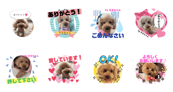 足もみ屋さんの癒し犬まるちゃんです Lineクリエイターズスタンプ Stamplist