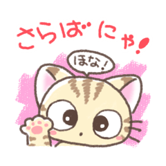 Daily life of Kansai cat
