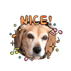 Patty_20200806111511