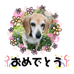 Patty_20200806111330