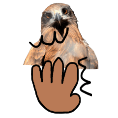 Doodle on Familiar birds-BIG
