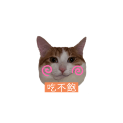 陽陽合集