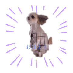 mizuki_20200806114015