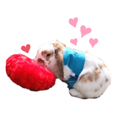 ASUKA_20200806114707