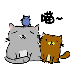 Puff & Michan Cat