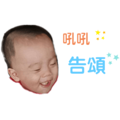 瓦多寶寶特輯啪兔