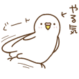 インコ気まぐれ Line スタンプ Line Store インコ気まぐれ Line スタンプ Line Store