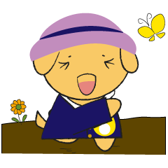 Golden retriever.The second version.