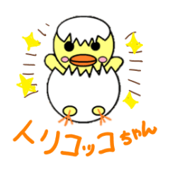 Stickers about cute Chicks "Torikocko"
