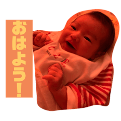 hikari_20200806161013