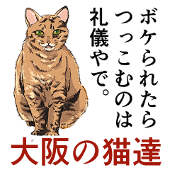 大阪の猫達　茶白/サビ猫/牛猫/キジ猫/黒猫
