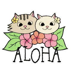 Hawaiian cats LOCO&MOCO – LINE stickers | LINE STORE