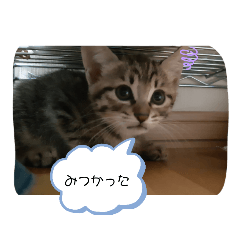 hana_20200806202836