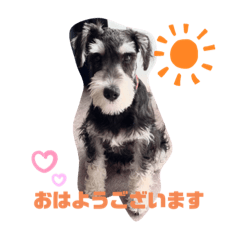 Ayumi_20200806213823