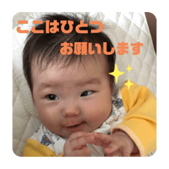 TORI_20200806214616