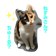 rina_20200807101035