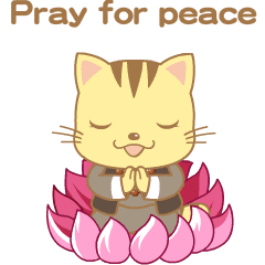 Baby Cat with you Buddhism - English
