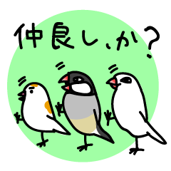 Three Birds -- close friends ?? --