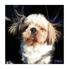 Nanami_20200807021828