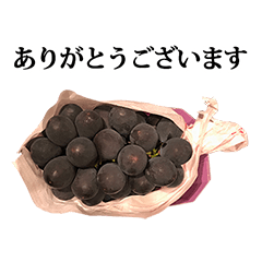 Grape kyoho 4