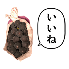 Grape kyoho7