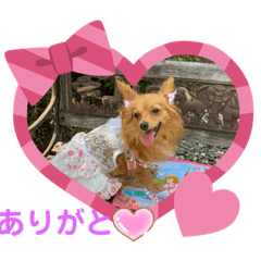 yukari_20200807120056