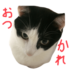 aoi_20200807120340