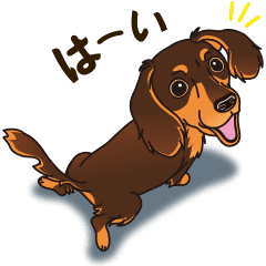 気軽にダックス チョコタン Line スタンプ Line Store 気軽にダックス チョコタン Line スタンプ Line Store