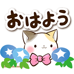 Ribbon and Calico cat (Summer version)