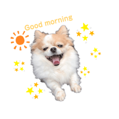 Haruna_20200807001432