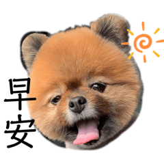 療癒小拉（ft.鬆餅）