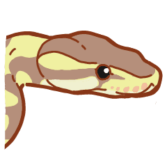 Ball python – LINE stickers | LINE STORE