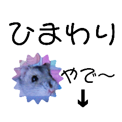 Suzu_20200807142545