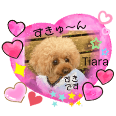 Tiara_20200807144216