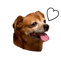 muu_chan STAMP
