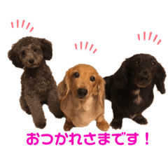 ayumi_20200807125309