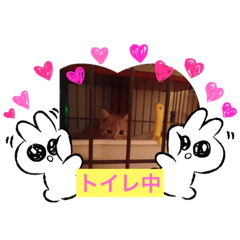 asuka_20200807174927